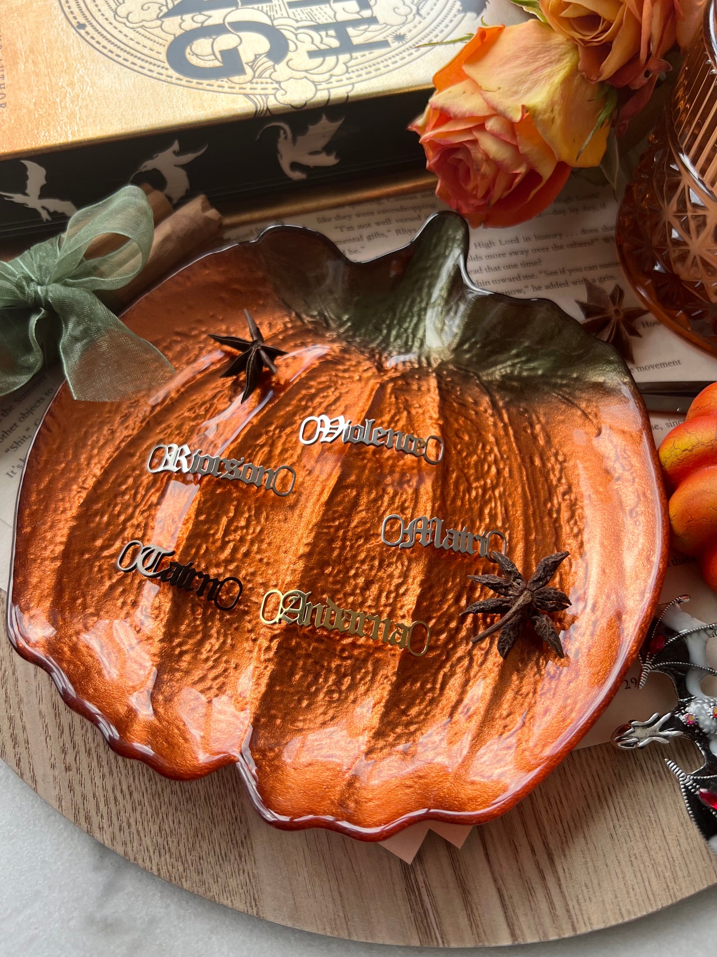 Fourth Wing Single Shoe lace tag