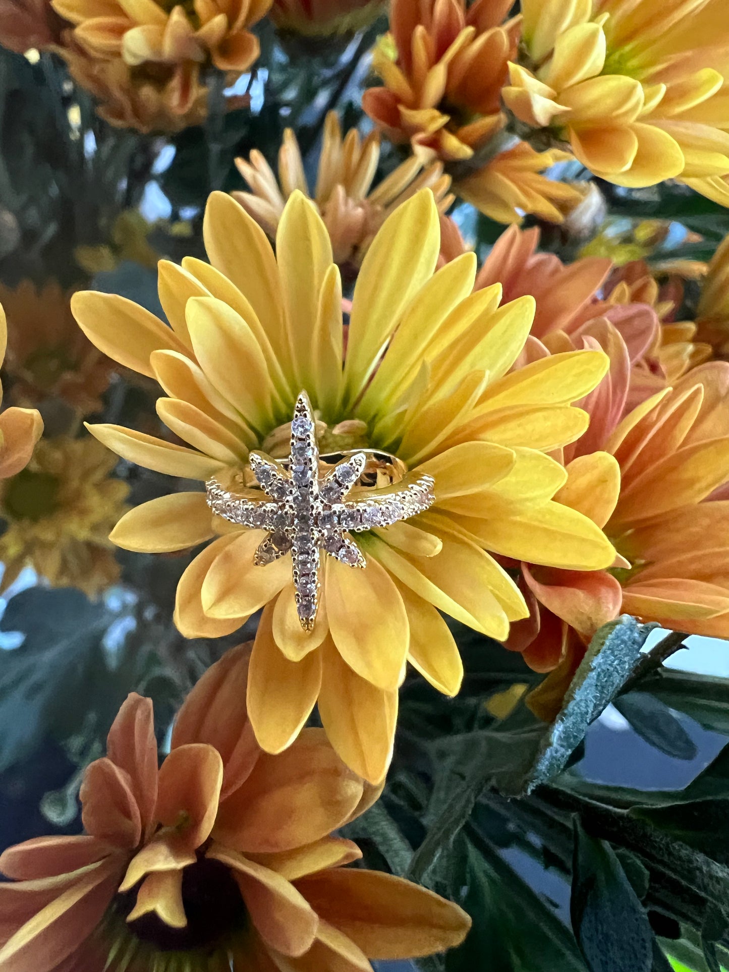 Winter Solstice Star Ear Cuff