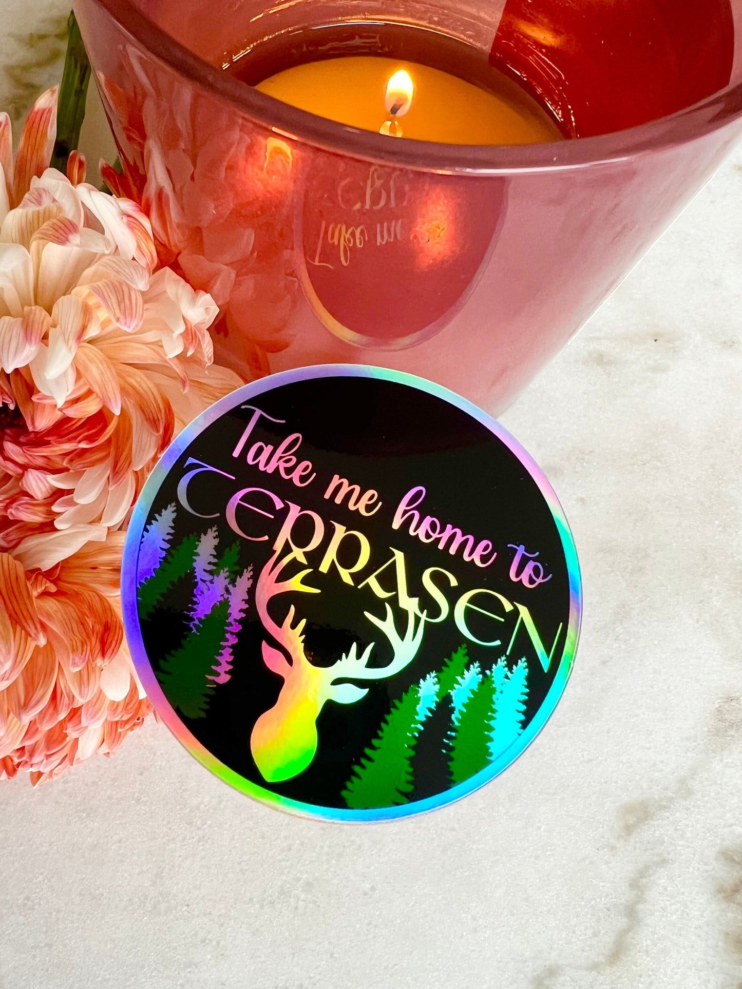 Take me home to Terrasen Holographic Sticker