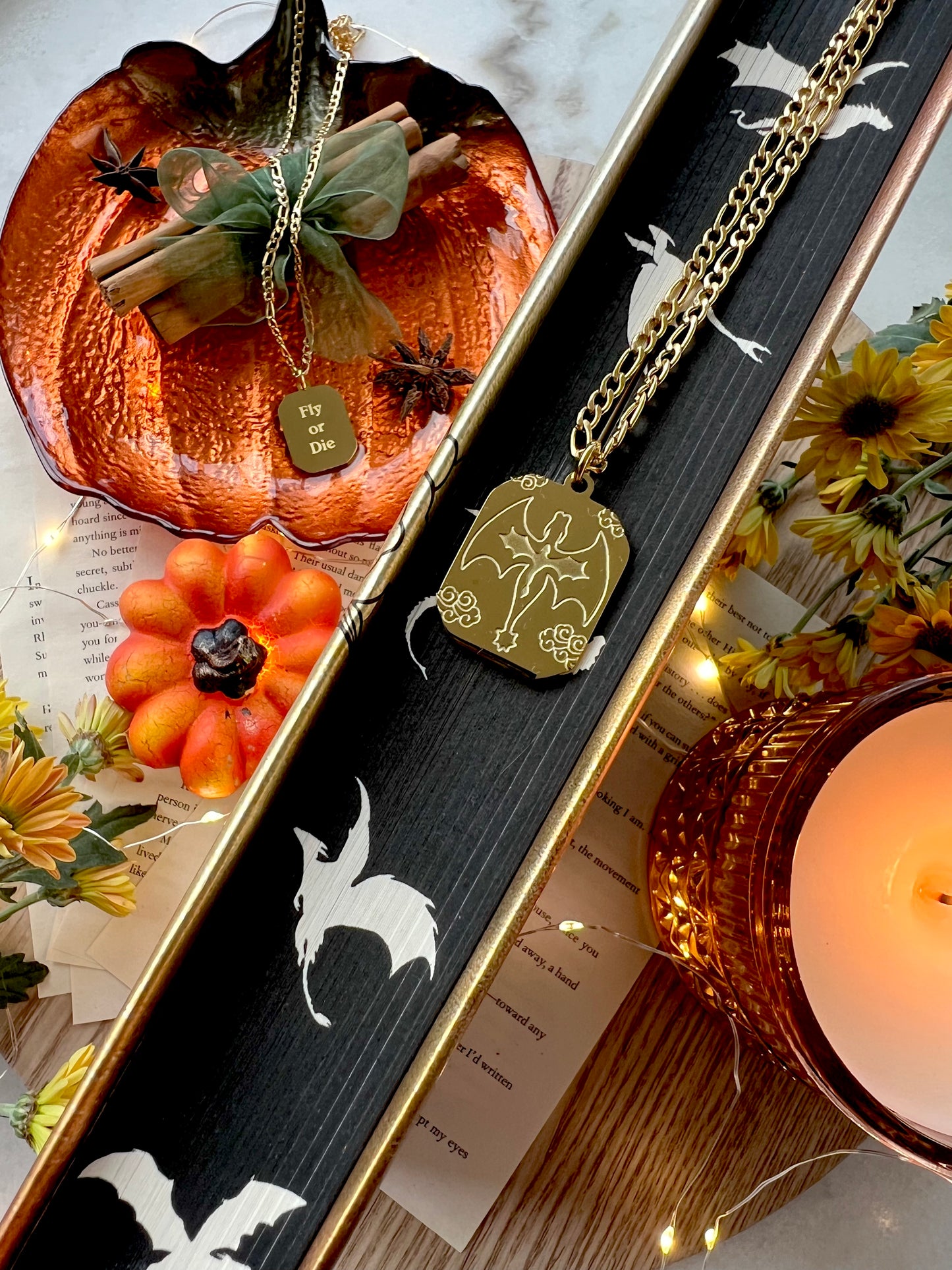 ✨ Riders Quadrant Bundle✨